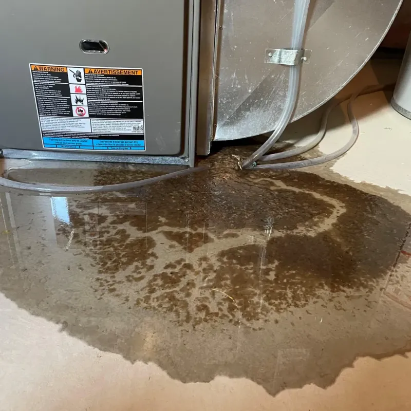 Appliance Leak Cleanup in Bradford, PA